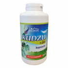 Vita Crystal Kudzu + B6 kapszula 250db 