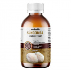 gomba Dr. Süngomba glicerines kivonat 100ml 