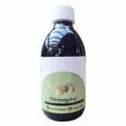 Prana bio tökmagolaj 250ml 