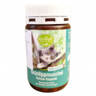 Sanct Bernhard Zöldkagyló kapszula macskáknak 90db 