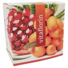 Vitaflorin (BIOMULTIvitamin) 90db 