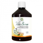 Vita Crystal Vita Biosa fermentált ital - gyömbér 500ml 